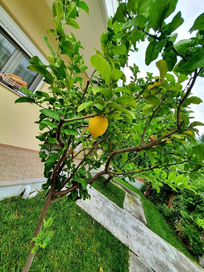 Apartamenty Rodzinne Kamena Vourla Luaran gambar